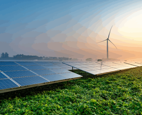 Solar panels and a large wind turbine standing together in a green, grassy field, symbolizing combined renewable energy generation.