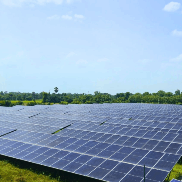 Large array of dark blue, ground-mounted solar panels stretching across a flat, green field under a clear blue sky.