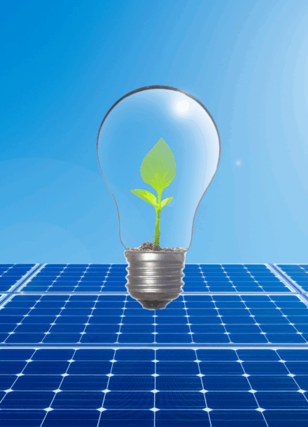 A green plant growing inside a light bulb placed on solar panels, symbolizing renewable energy and sustainability.